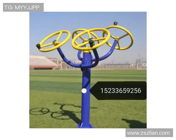 老人用的健身器材：推荐适合老年人的健身器材及使用注意事项